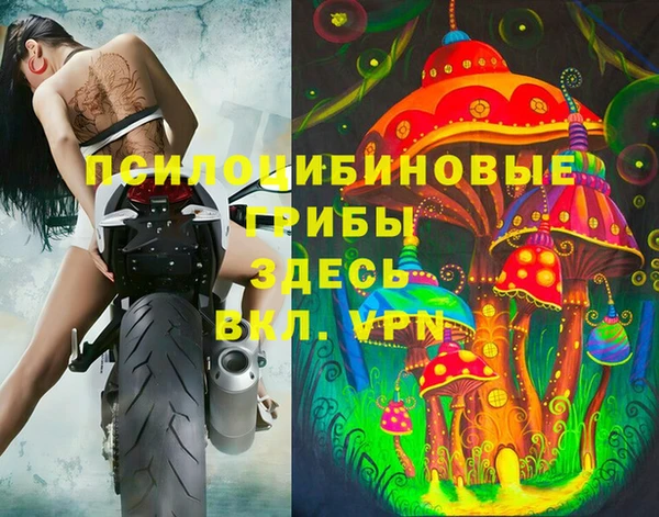 mdpv Бородино